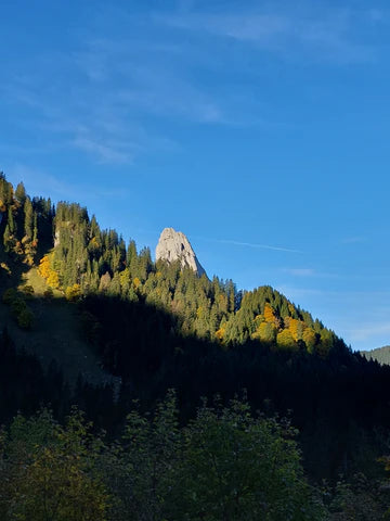 Lieblingswanderung - Hochplatte in den Ammergauer Alpen