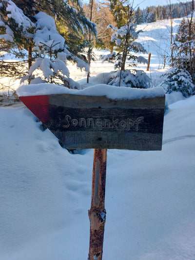 Lieblingswanderung auf den Sonnenkopf