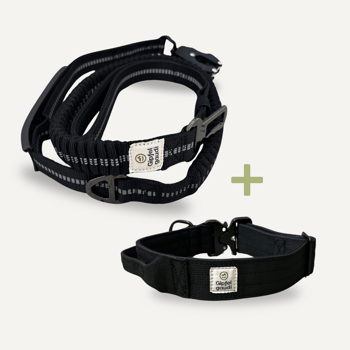 Hundeleine mit Halsband