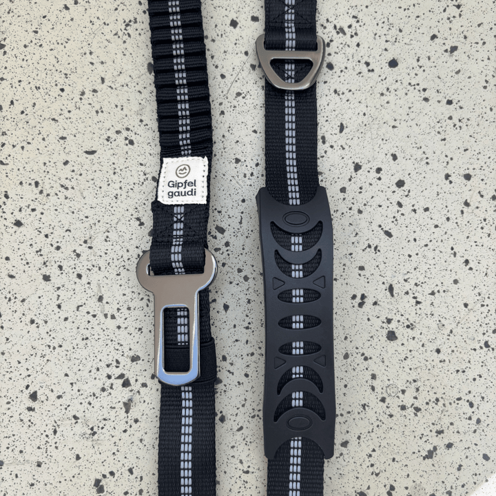 Hundeleine mit Halsband