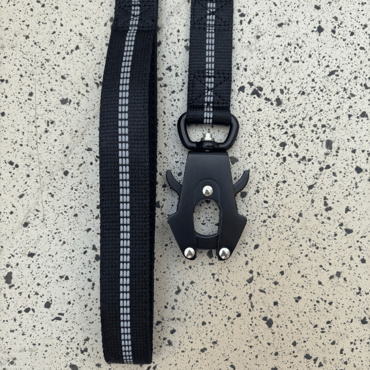 Hundeleine mit Halsband