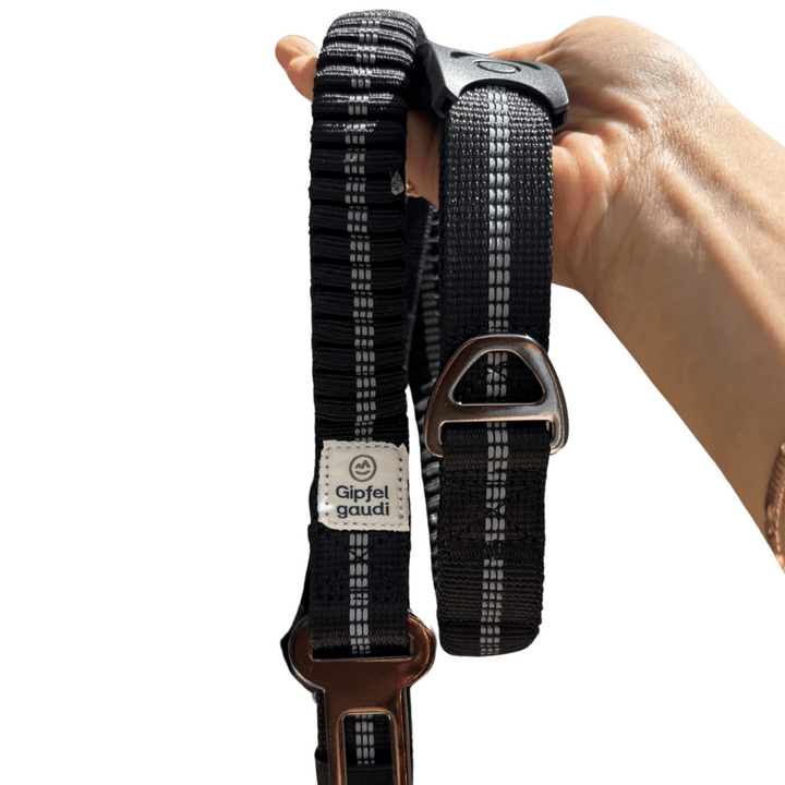 Hundeleine mit Halsband