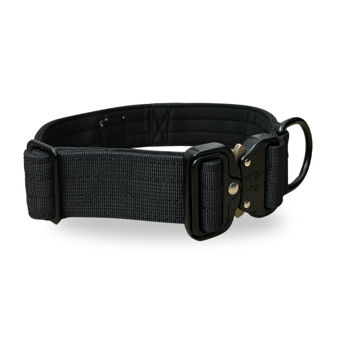 Hundeleine mit Halsband
