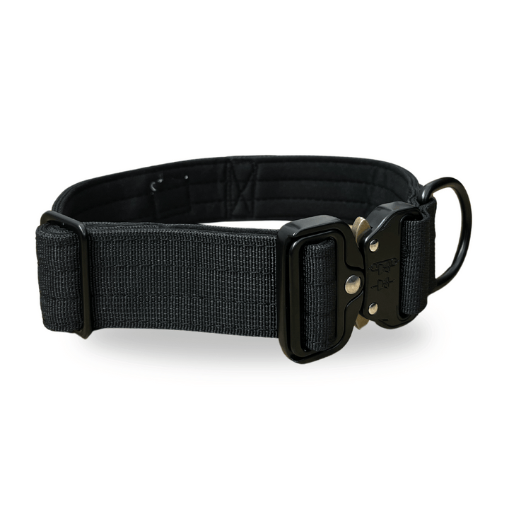 Hundeleine mit Halsband