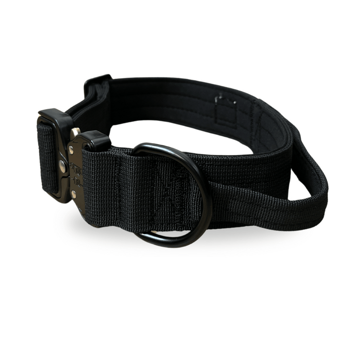 Hundeleine mit Halsband