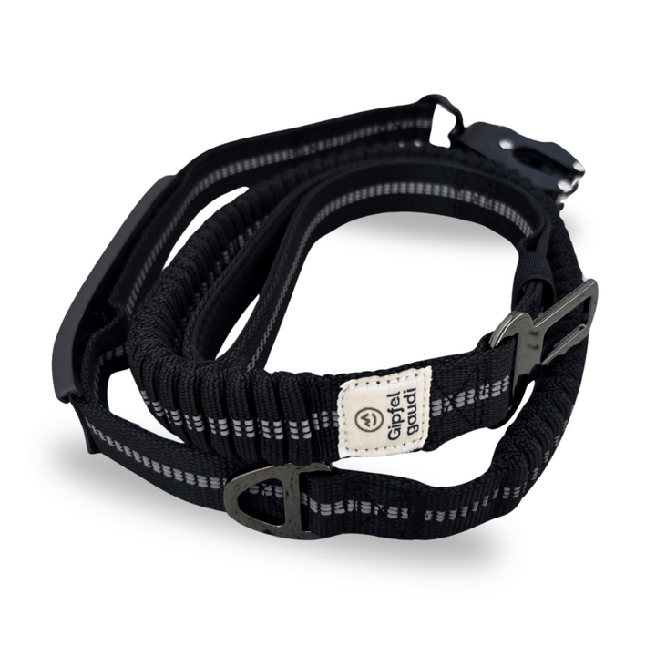 Hundeleine mit Halsband