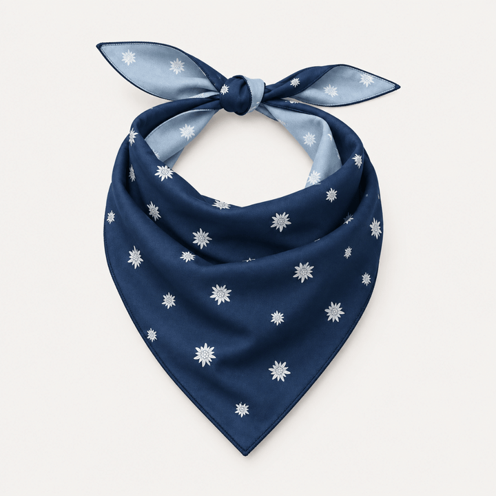 Vielseitiges Bandana / Stirnband, Kopftuch, Halstuch & mehr.